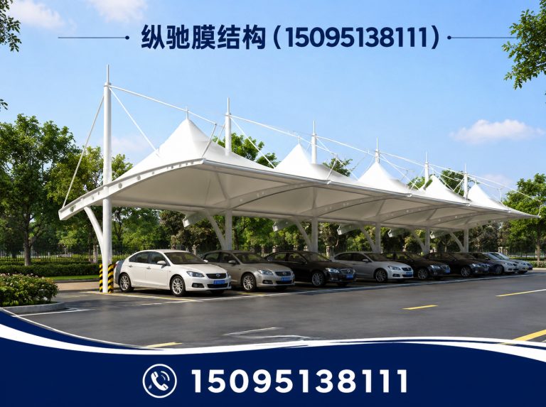 坊子区膜结构停车棚展示图